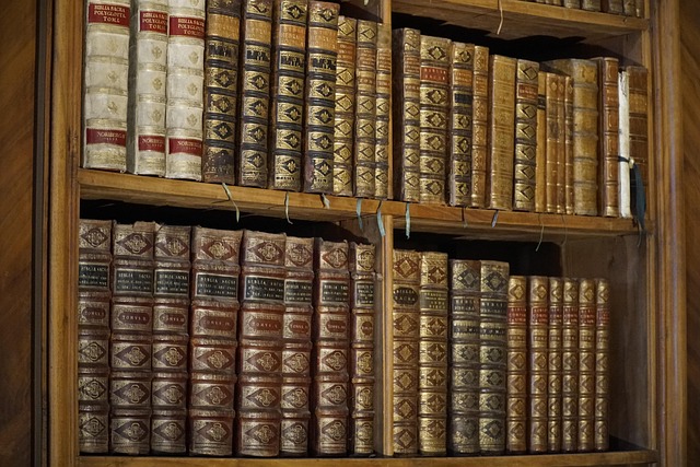 Livros Infantis que Falam Sobre Emoções, Despedidas e Novos Começos